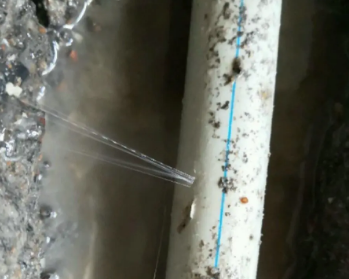 洮北卫生间测漏水多少钱