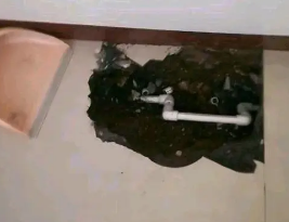 洮北卫生间测漏水多少钱
